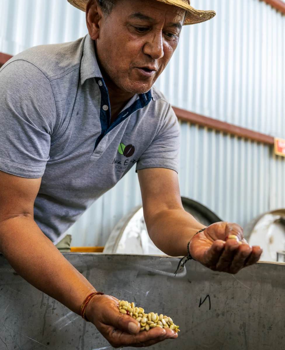 Tashi Wangchuk Tenzing with green coffee